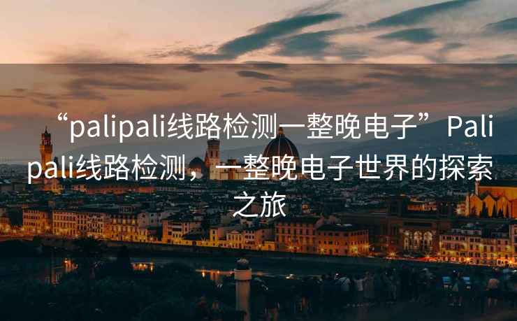 “palipali線路檢測一整晚電子”Palipali線路檢測，一整晚電子世界的探索之旅