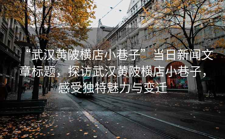 “武漢黃陂橫店小巷子”當(dāng)日新聞文章標(biāo)題，探訪武漢黃陂橫店小巷子，感受獨(dú)特魅力與變遷