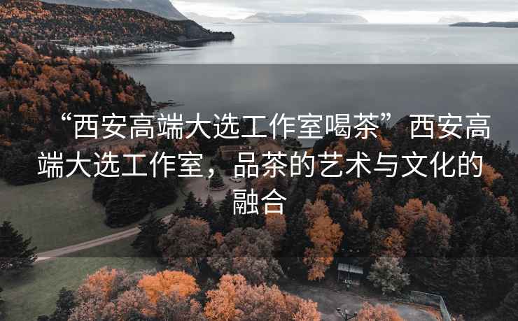“西安高端大選工作室喝茶”西安高端大選工作室，品茶的藝術(shù)與文化的融合