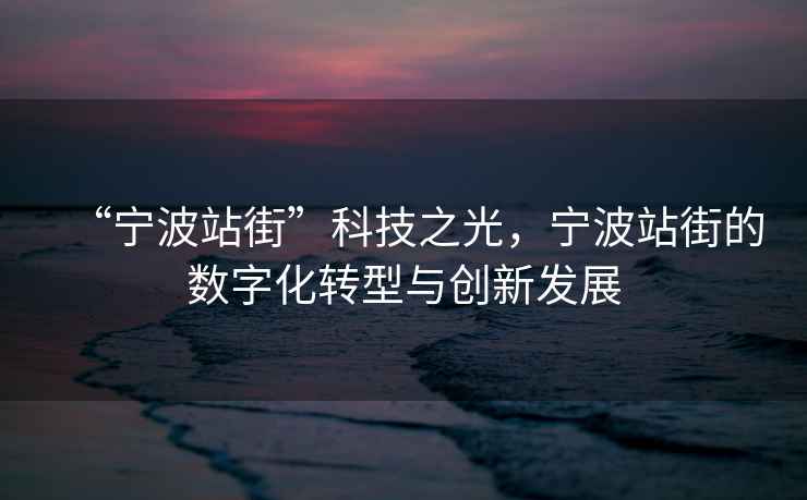 “寧波站街”科技之光，寧波站街的數(shù)字化轉型與創(chuàng)新發(fā)展