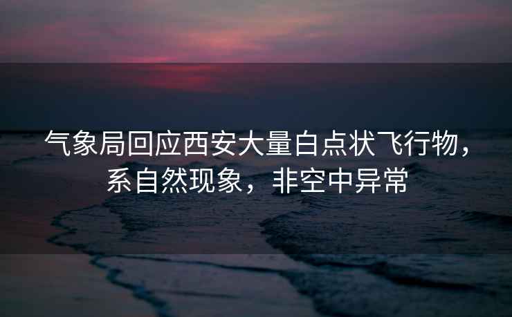氣象局回應(yīng)西安大量白點(diǎn)狀飛行物，系自然現(xiàn)象，非空中異常
