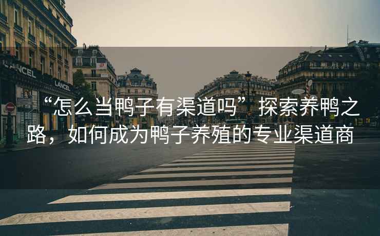 “怎么當(dāng)鴨子有渠道嗎”探索養(yǎng)鴨之路，如何成為鴨子養(yǎng)殖的專業(yè)渠道商