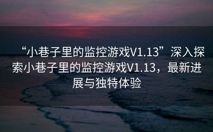 “小巷子里的監(jiān)控游戲V1.13”深入探索小巷子里的監(jiān)控游戲V1.13，最新進展與獨特體驗