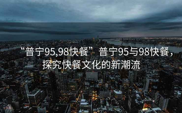 “普寧95,98快餐”普寧95與98快餐，探究快餐文化的新潮流