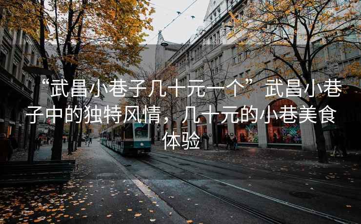 “武昌小巷子幾十元一個”武昌小巷子中的獨特風(fēng)情，幾十元的小巷美食體驗