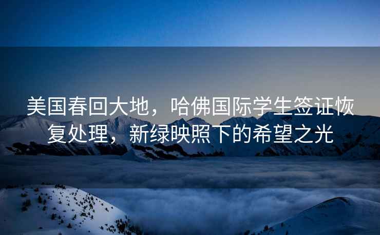 美國春回大地，哈佛國際學(xué)生簽證恢復(fù)處理，新綠映照下的希望之光