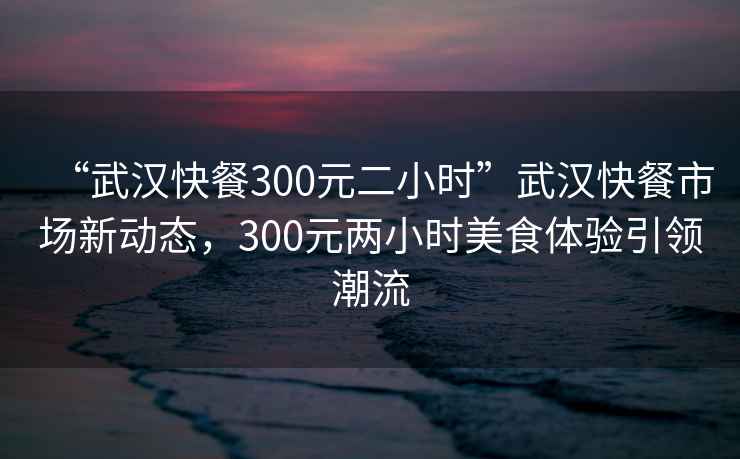 “武漢快餐300元二小時(shí)”武漢快餐市場(chǎng)新動(dòng)態(tài)，300元兩小時(shí)美食體驗(yàn)引領(lǐng)潮流