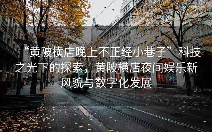 “黃陂橫店晚上不正經(jīng)小巷子”科技之光下的探索，黃陂橫店夜間娛樂新風(fēng)貌與數(shù)字化發(fā)展