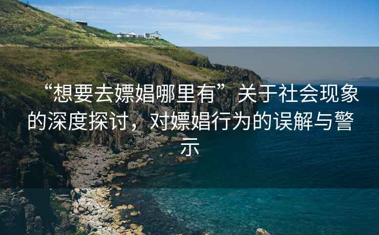 “想要去嫖娼哪里有”關(guān)于社會現(xiàn)象的深度探討，對嫖娼行為的誤解與警示
