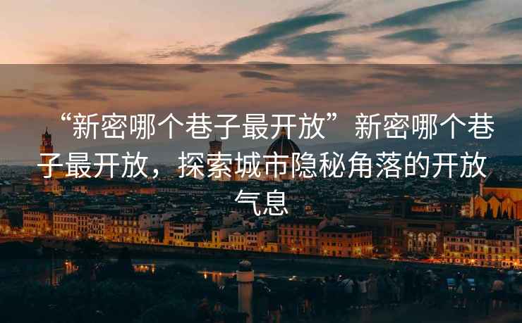 “新密哪個(gè)巷子最開放”新密哪個(gè)巷子最開放，探索城市隱秘角落的開放氣息