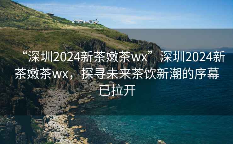 “深圳2024新茶嫩茶wx”深圳2024新茶嫩茶wx，探尋未來(lái)茶飲新潮的序幕已拉開(kāi)