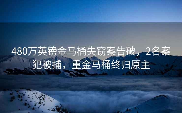 480萬(wàn)英鎊金馬桶失竊案告破，2名案犯被捕，重金馬桶終歸原主