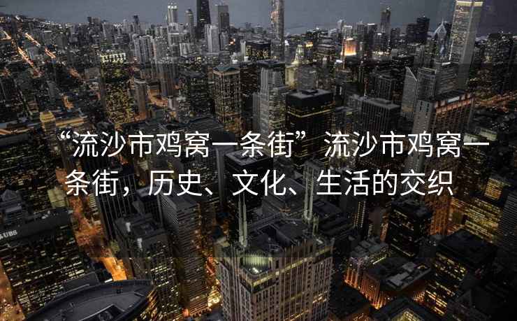 “流沙市雞窩一條街”流沙市雞窩一條街，歷史、文化、生活的交織