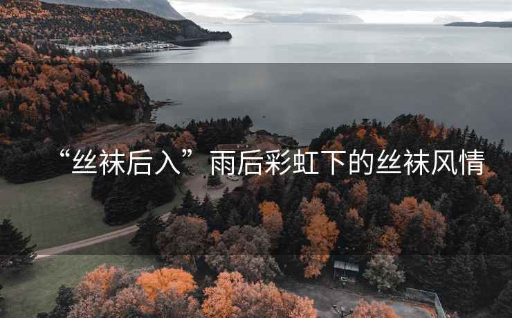“絲襪后入”雨后彩虹下的絲襪風情