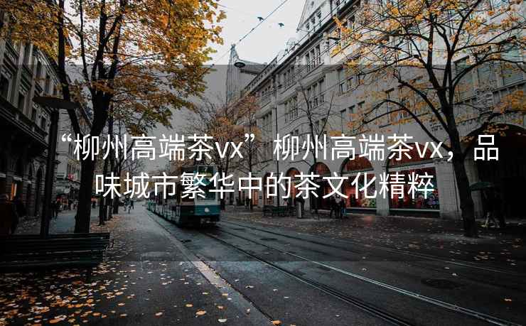 “柳州高端茶vx”柳州高端茶vx，品味城市繁華中的茶文化精粹