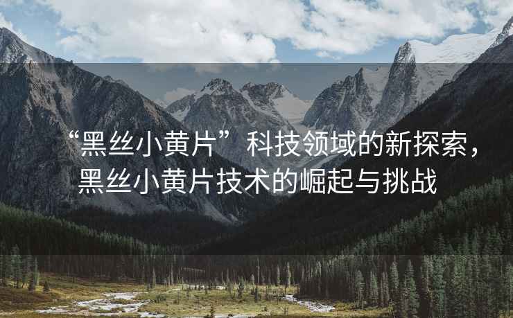 “黑絲小黃片”科技領(lǐng)域的新探索，黑絲小黃片技術(shù)的崛起與挑戰(zhàn)