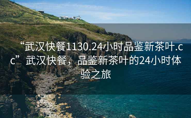 “武漢快餐1130.24小時(shí)品鑒新茶葉.cc”武漢快餐，品鑒新茶葉的24小時(shí)體驗(yàn)之旅