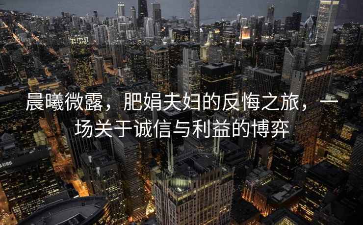 晨曦微露，肥娟夫婦的反悔之旅，一場關(guān)于誠信與利益的博弈