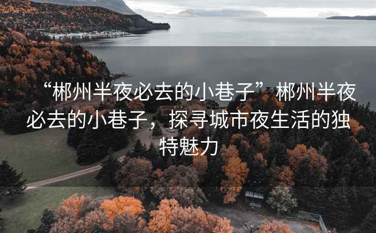 “郴州半夜必去的小巷子”郴州半夜必去的小巷子，探尋城市夜生活的獨特魅力