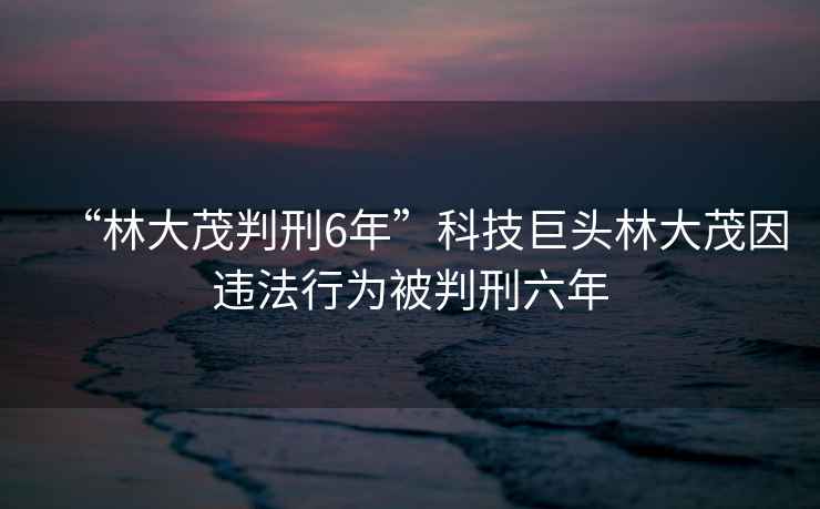 “林大茂判刑6年”科技巨頭林大茂因違法行為被判刑六年