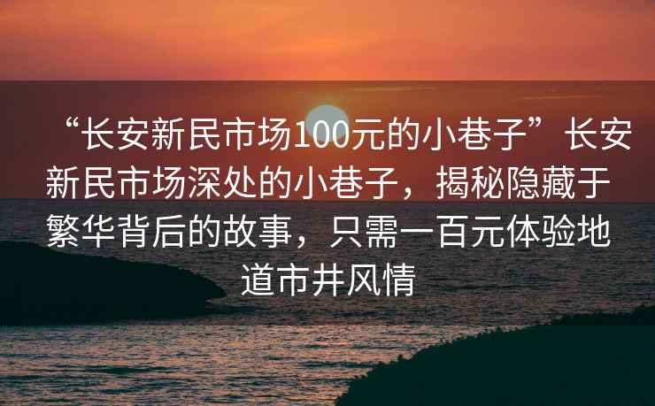“長安新民市場100元的小巷子”長安新民市場深處的小巷子，揭秘隱藏于繁華背后的故事，只需一百元體驗(yàn)地道市井風(fēng)情