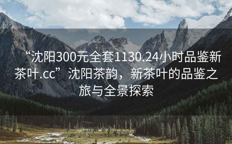 “沈陽300元全套1130.24小時品鑒新茶葉.cc”沈陽茶韻，新茶葉的品鑒之旅與全景探索