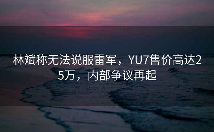 林斌稱無法說服雷軍，YU7售價高達25萬，內(nèi)部爭議再起