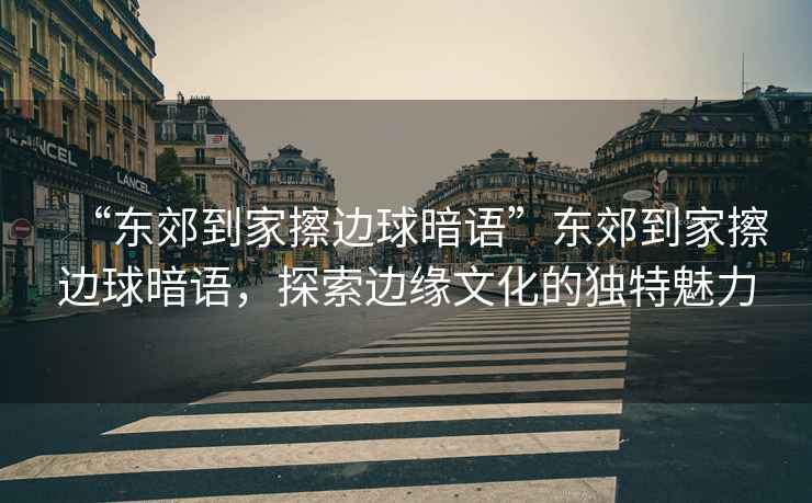 “東郊到家擦邊球暗語”東郊到家擦邊球暗語，探索邊緣文化的獨特魅力