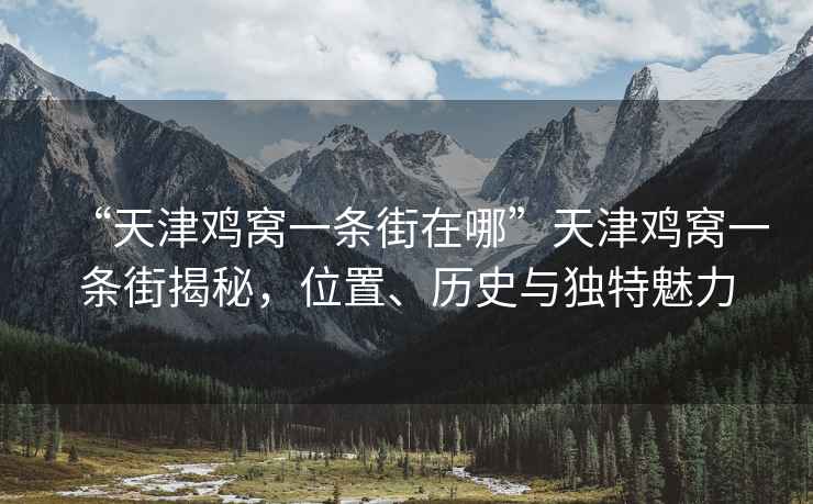 “天津雞窩一條街在哪”天津雞窩一條街揭秘，位置、歷史與獨(dú)特魅力