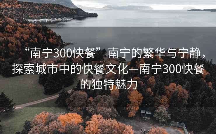 “南寧300快餐”南寧的繁華與寧靜，探索城市中的快餐文化—南寧300快餐的獨特魅力