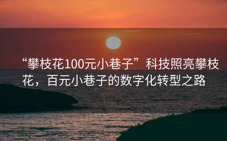 “攀枝花100元小巷子”科技照亮攀枝花，百元小巷子的數(shù)字化轉(zhuǎn)型之路