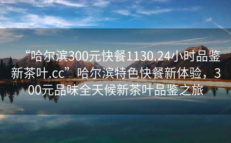 “哈爾濱300元快餐1130.24小時品鑒新茶葉.cc”哈爾濱特色快餐新體驗，300元品味全天候新茶葉品鑒之旅