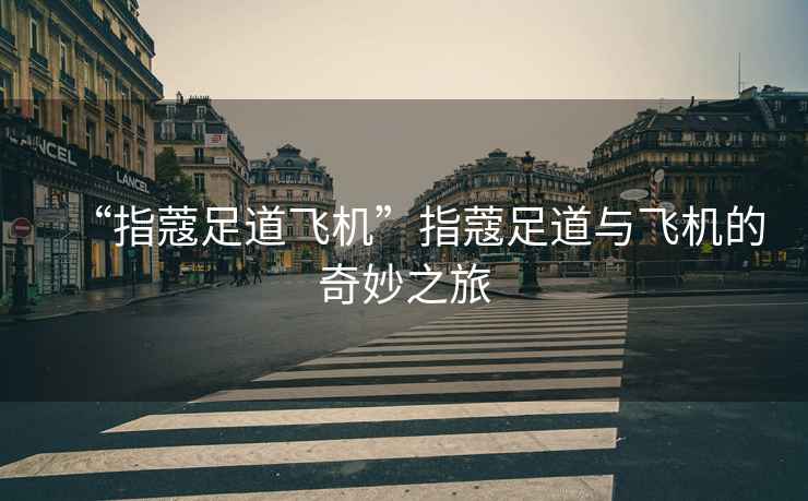 “指蔻足道飛機”指蔻足道與飛機的奇妙之旅