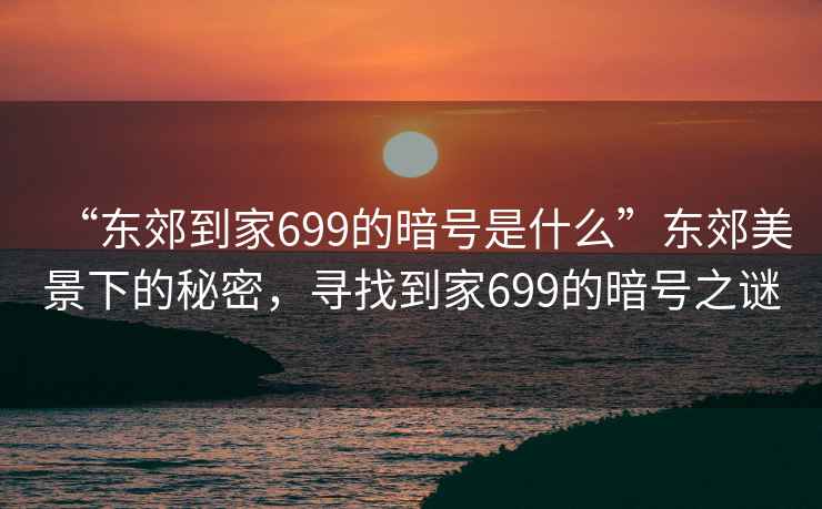 “東郊到家699的暗號(hào)是什么”東郊美景下的秘密，尋找到家699的暗號(hào)之謎