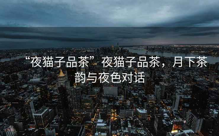 “夜貓子品茶”夜貓子品茶，月下茶韻與夜色對話