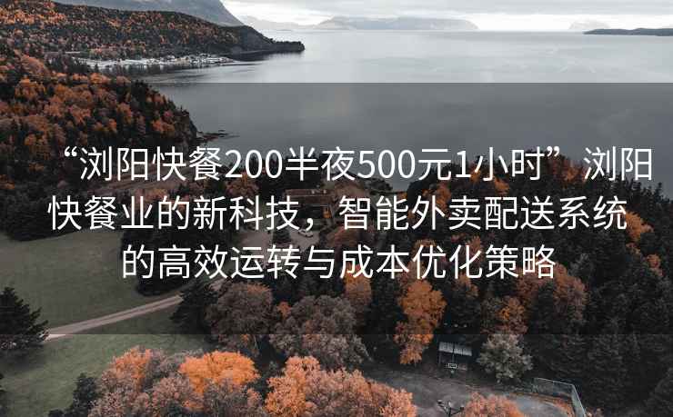 “瀏陽(yáng)快餐200半夜500元1小時(shí)”瀏陽(yáng)快餐業(yè)的新科技，智能外賣(mài)配送系統(tǒng)的高效運(yùn)轉(zhuǎn)與成本優(yōu)化策略