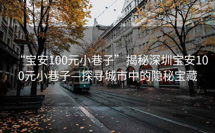 “寶安100元小巷子”揭秘深圳寶安100元小巷子—探尋城市中的隱秘寶藏