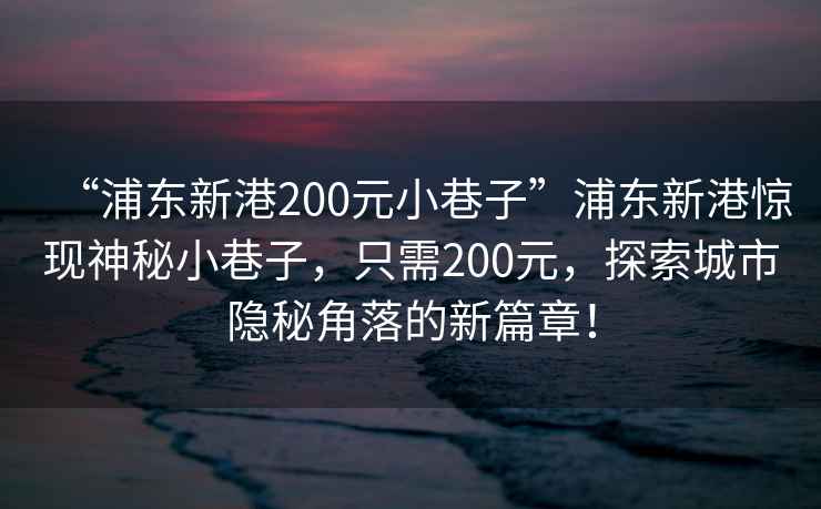 “浦東新港200元小巷子”浦東新港驚現(xiàn)神秘小巷子，只需200元，探索城市隱秘角落的新篇章！