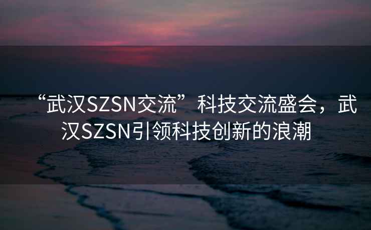 “武漢SZSN交流”科技交流盛會(huì)，武漢SZSN引領(lǐng)科技創(chuàng)新的浪潮