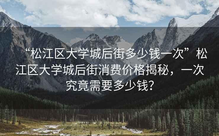 “松江區(qū)大學(xué)城后街多少錢一次”松江區(qū)大學(xué)城后街消費(fèi)價(jià)格揭秘，一次究竟需要多少錢？