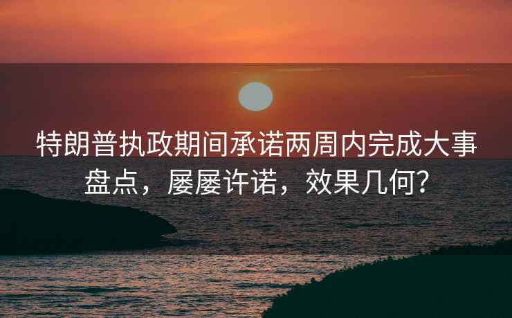 特朗普執(zhí)政期間承諾兩周內(nèi)完成大事盤點(diǎn)，屢屢許諾，效果幾何？