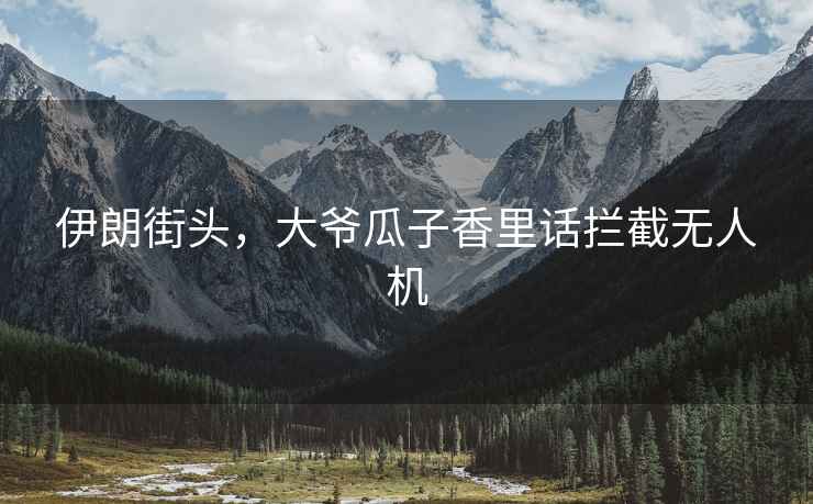 伊朗街頭，大爺瓜子香里話攔截?zé)o人機(jī)