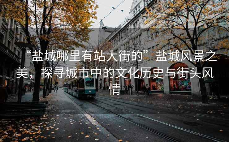 “鹽城哪里有站大街的”鹽城風景之美，探尋城市中的文化歷史與街頭風情