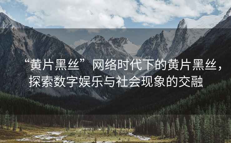 “黃片黑絲”網(wǎng)絡(luò)時(shí)代下的黃片黑絲，探索數(shù)字娛樂(lè)與社會(huì)現(xiàn)象的交融