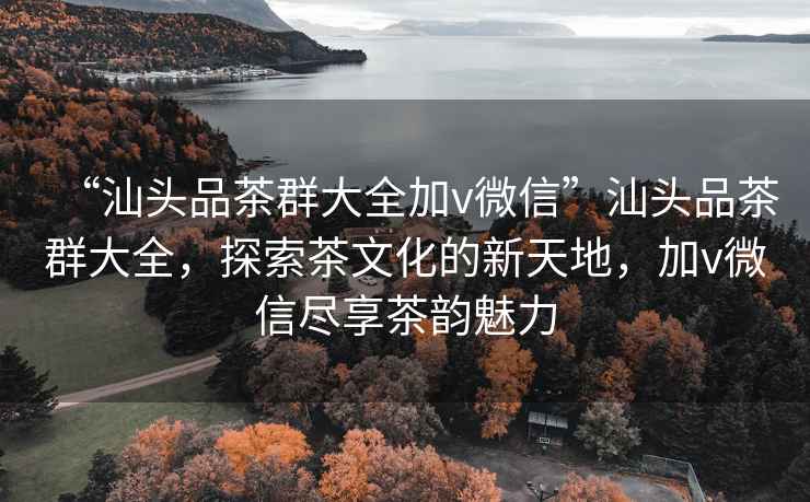 “汕頭品茶群大全加v微信”汕頭品茶群大全，探索茶文化的新天地，加v微信盡享茶韻魅力