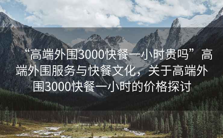 “高端外圍3000快餐一小時貴嗎”高端外圍服務與快餐文化，關(guān)于高端外圍3000快餐一小時的價格探討