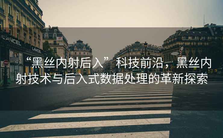 “黑絲內射后入”科技前沿，黑絲內射技術與后入式數(shù)據(jù)處理的革新探索
