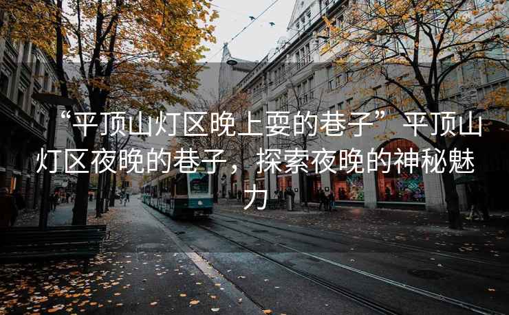“平頂山燈區(qū)晚上耍的巷子”平頂山燈區(qū)夜晚的巷子，探索夜晚的神秘魅力