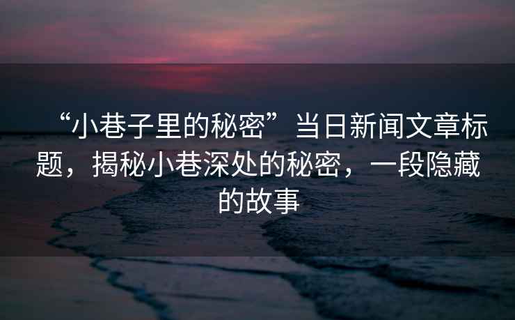 “小巷子里的秘密”當(dāng)日新聞文章標(biāo)題，揭秘小巷深處的秘密，一段隱藏的故事
