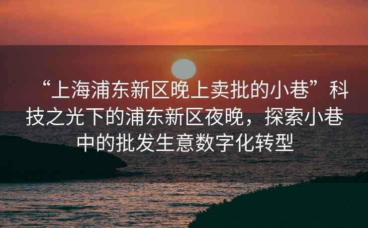 “上海浦東新區(qū)晚上賣批的小巷”科技之光下的浦東新區(qū)夜晚，探索小巷中的批發(fā)生意數(shù)字化轉(zhuǎn)型
